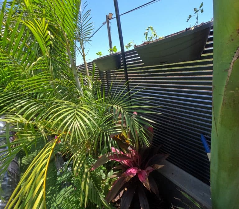 Dcim100goprogopr0479.jpg