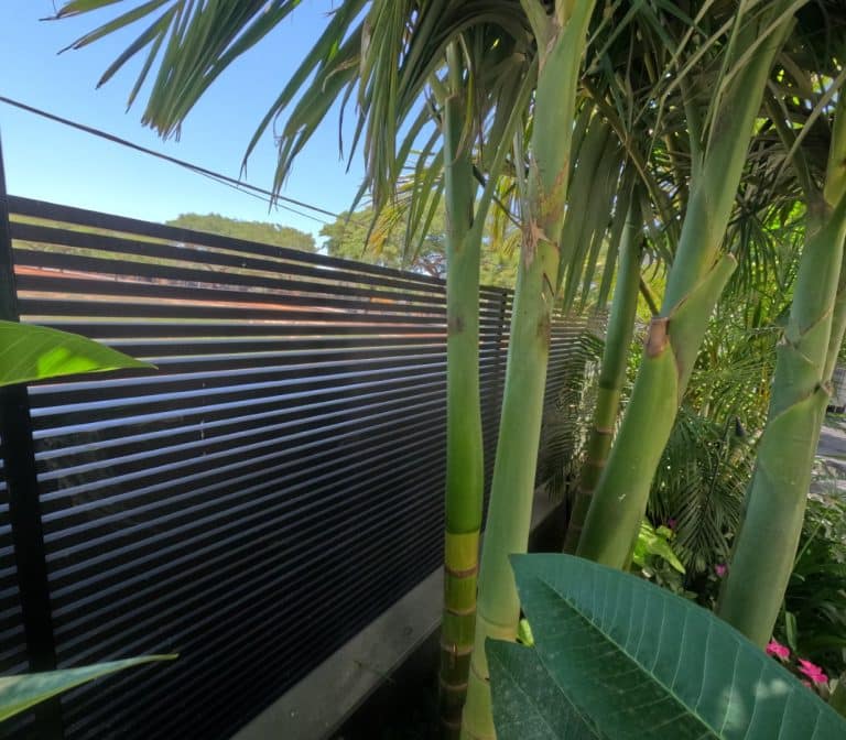 Dcim100goprogopr0482.jpg