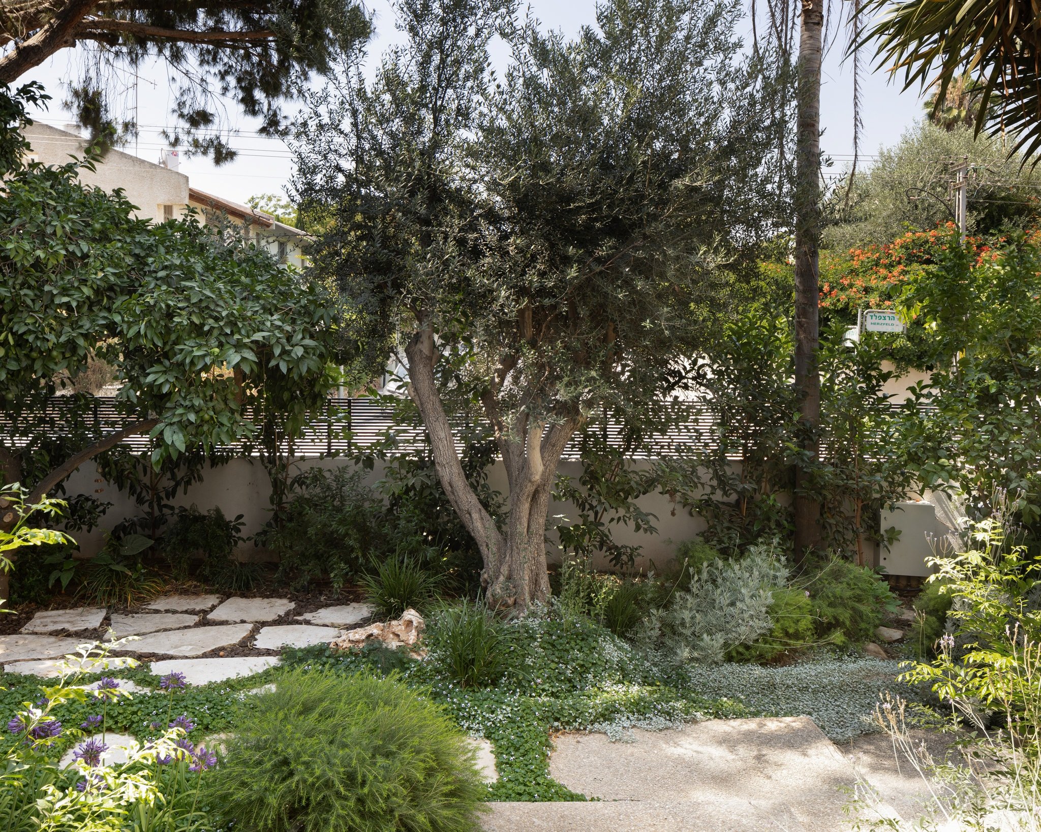 20250630 Alenafoto Snapir Hodhasharon 14