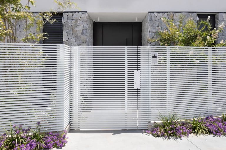 20250630 Alenafoto Snapir Ramathasharon 16