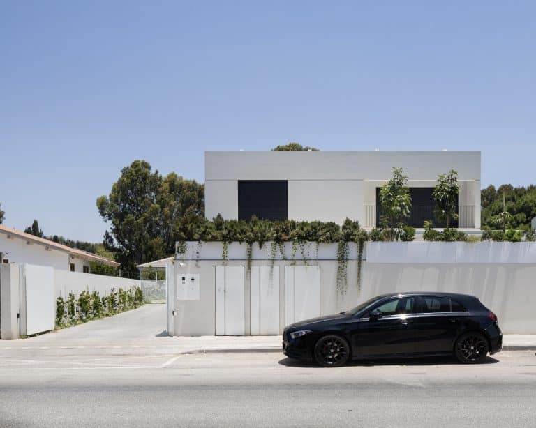 20250630 Alenafoto Snapir Ramathasharon 5