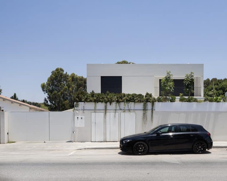 20250630 Alenafoto Snapir Ramathasharon 6