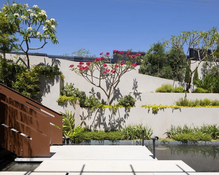 20250706 Alenafoto Snapir 13