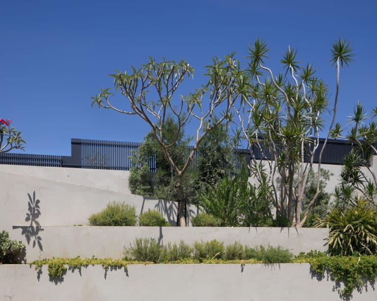 20250706 Alenafoto Snapir 14