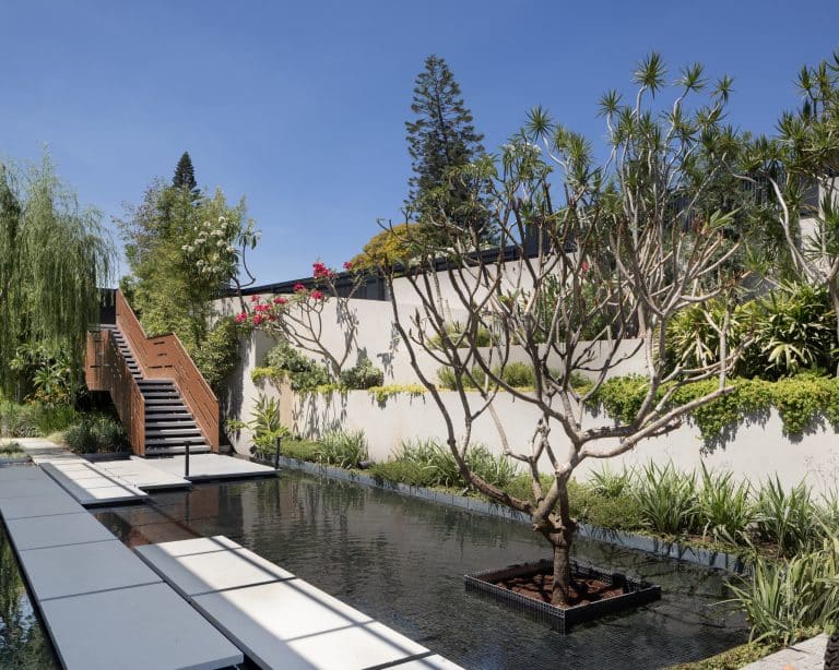 20250706 Alenafoto Snapir 15