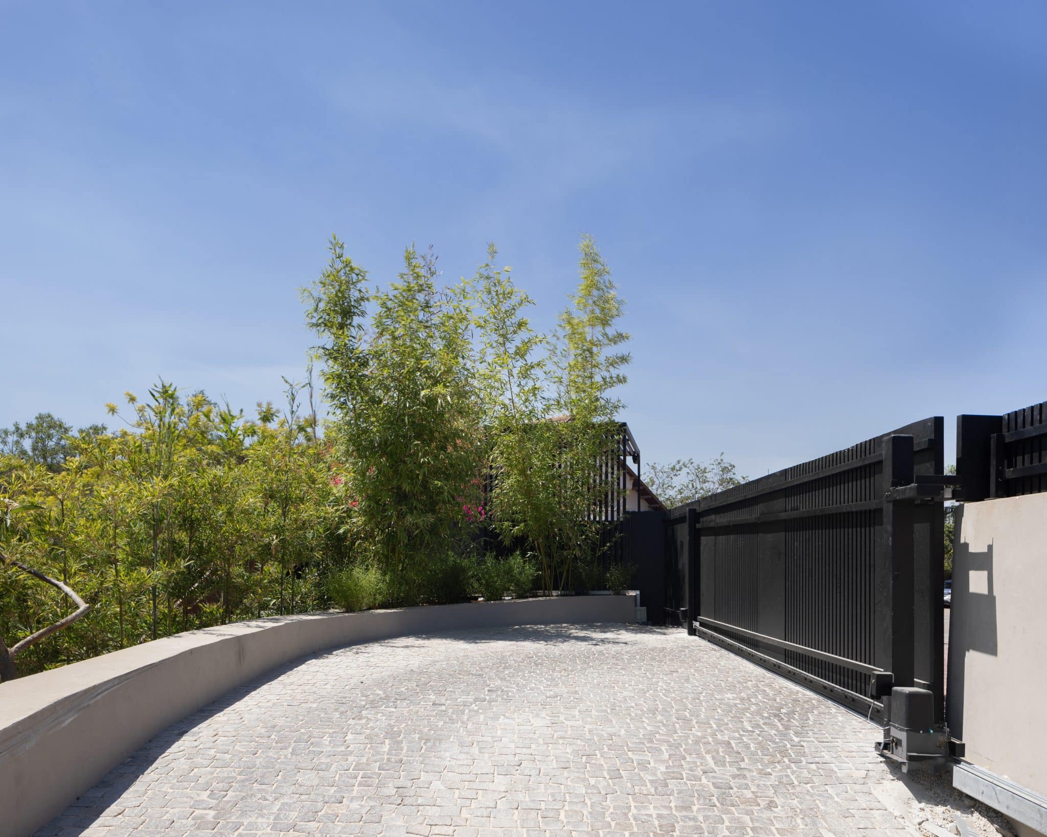 20250706 Alenafoto Snapir 16