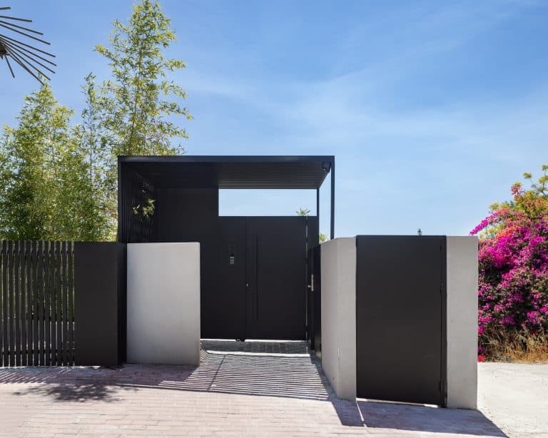 20250706 Alenafoto Snapir 17