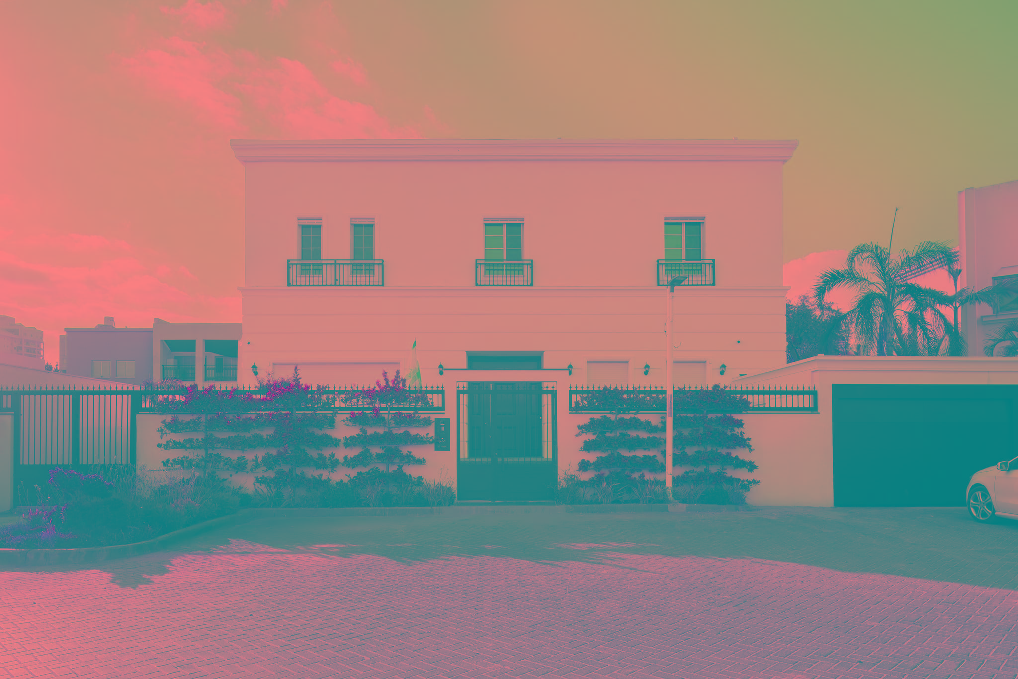 20250715 Alenafoto Snapir 1