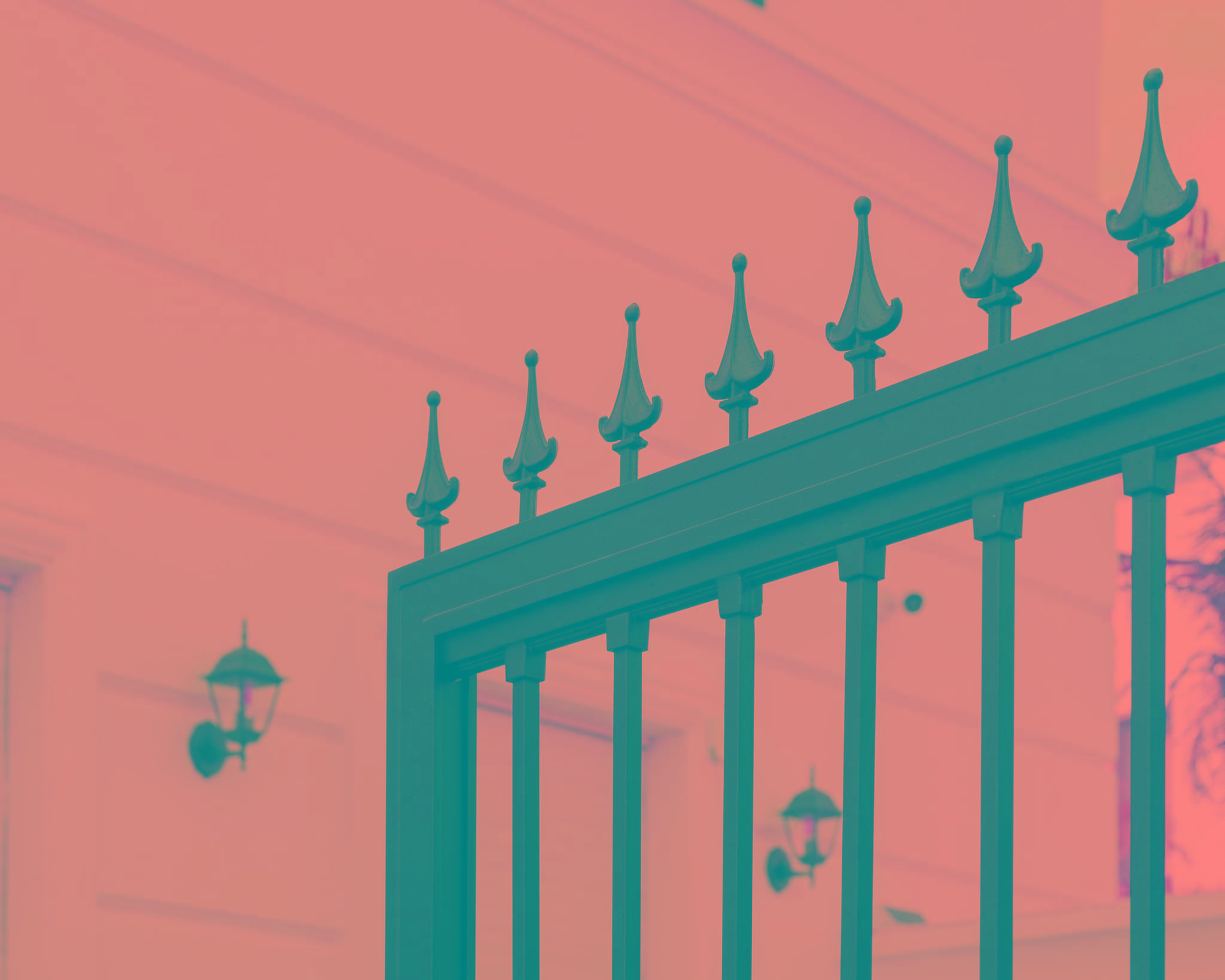 20250715 Alenafoto Snapir 13