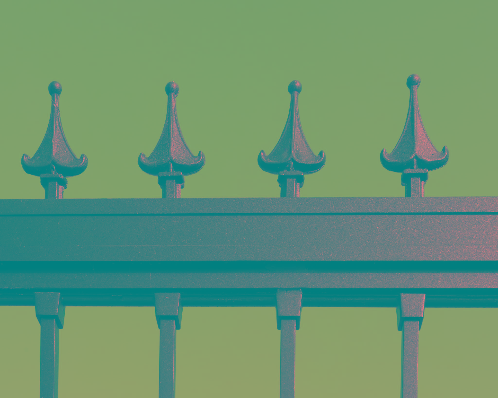 20250715 Alenafoto Snapir 14