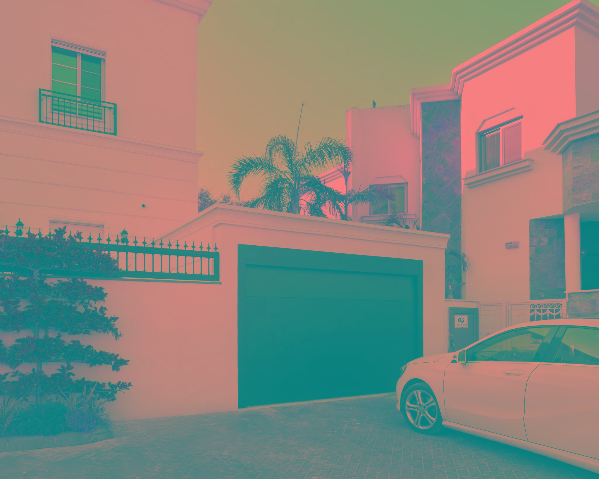 20250715 Alenafoto Snapir 4