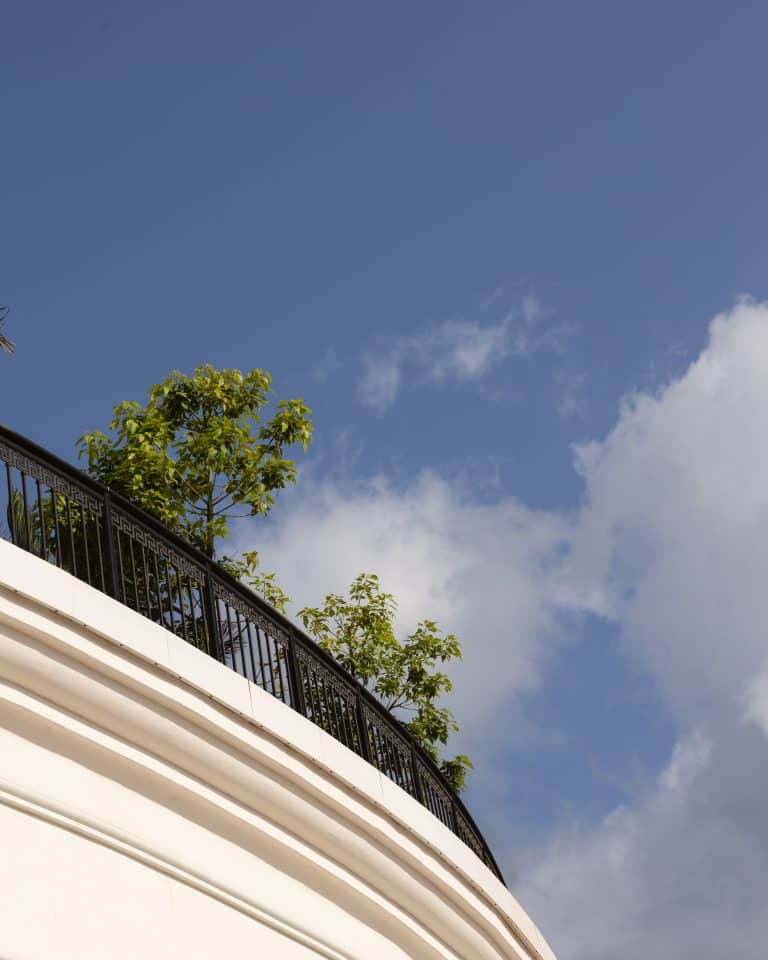 20250730 Alenafoto Snapir 14