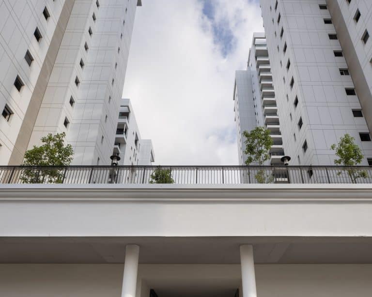 20250730 Alenafoto Snapir 9