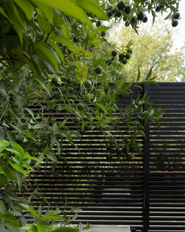 20250805 Alenafoto Snapir Herzliya8