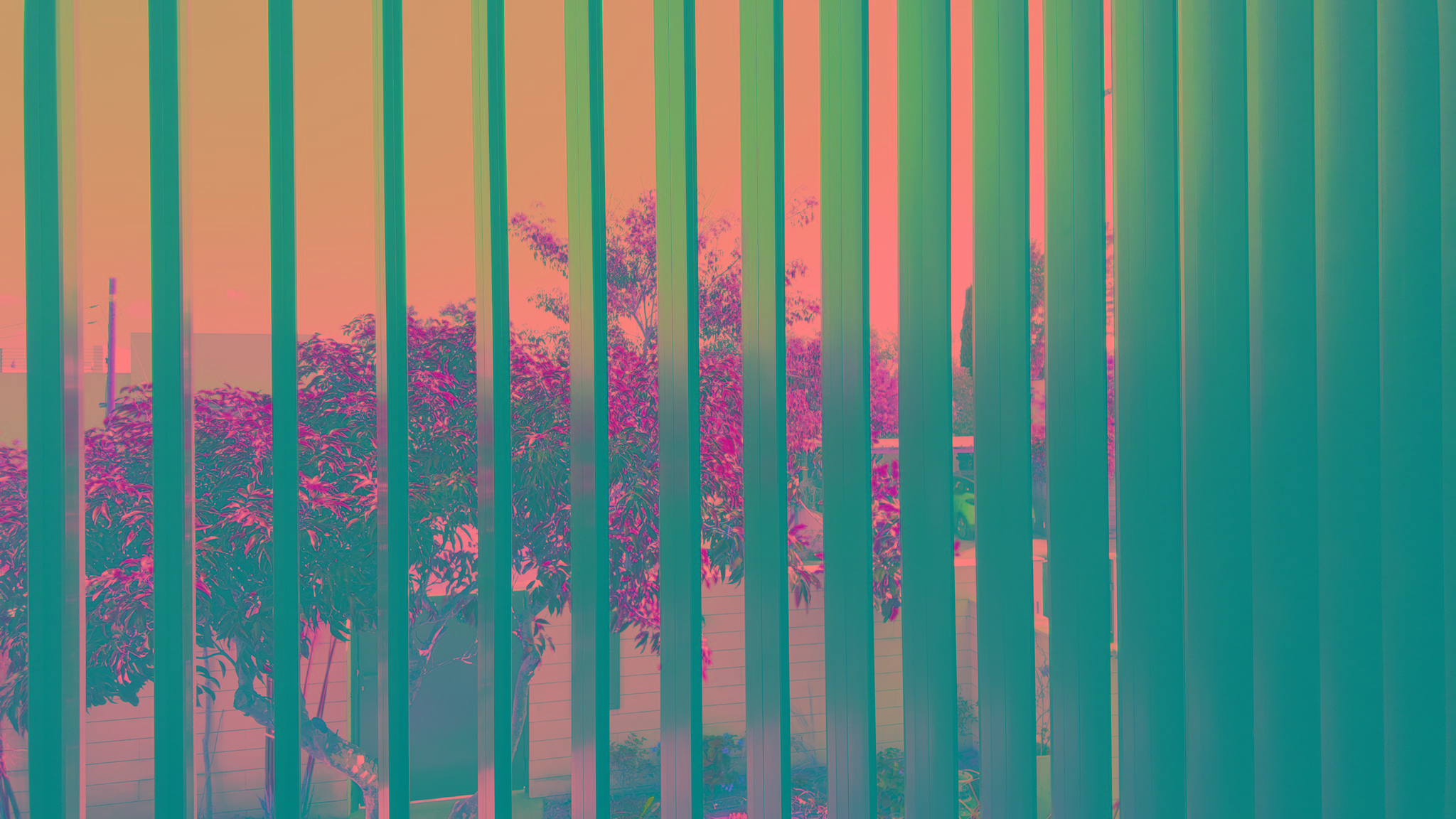 Copy Of Dannymaron5 82