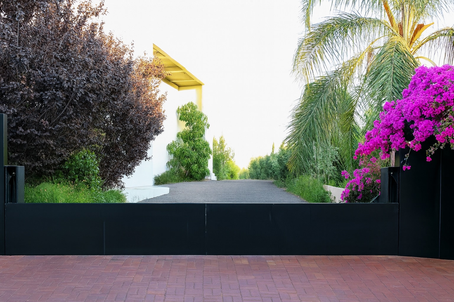 שער יורד לאדמה ניר-1