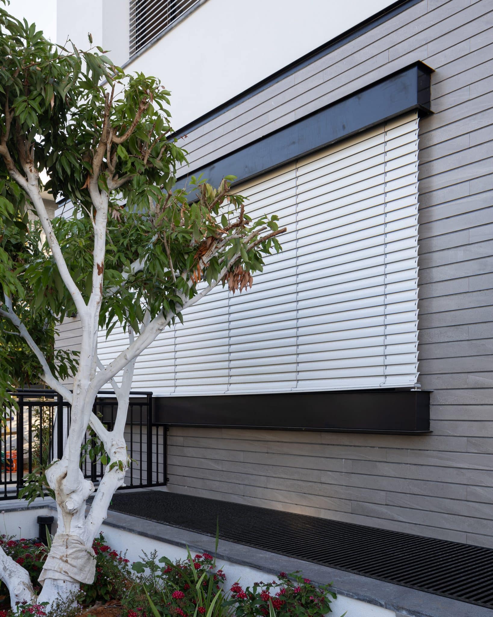 20250930 Snapir Alenafoto Sayon 13