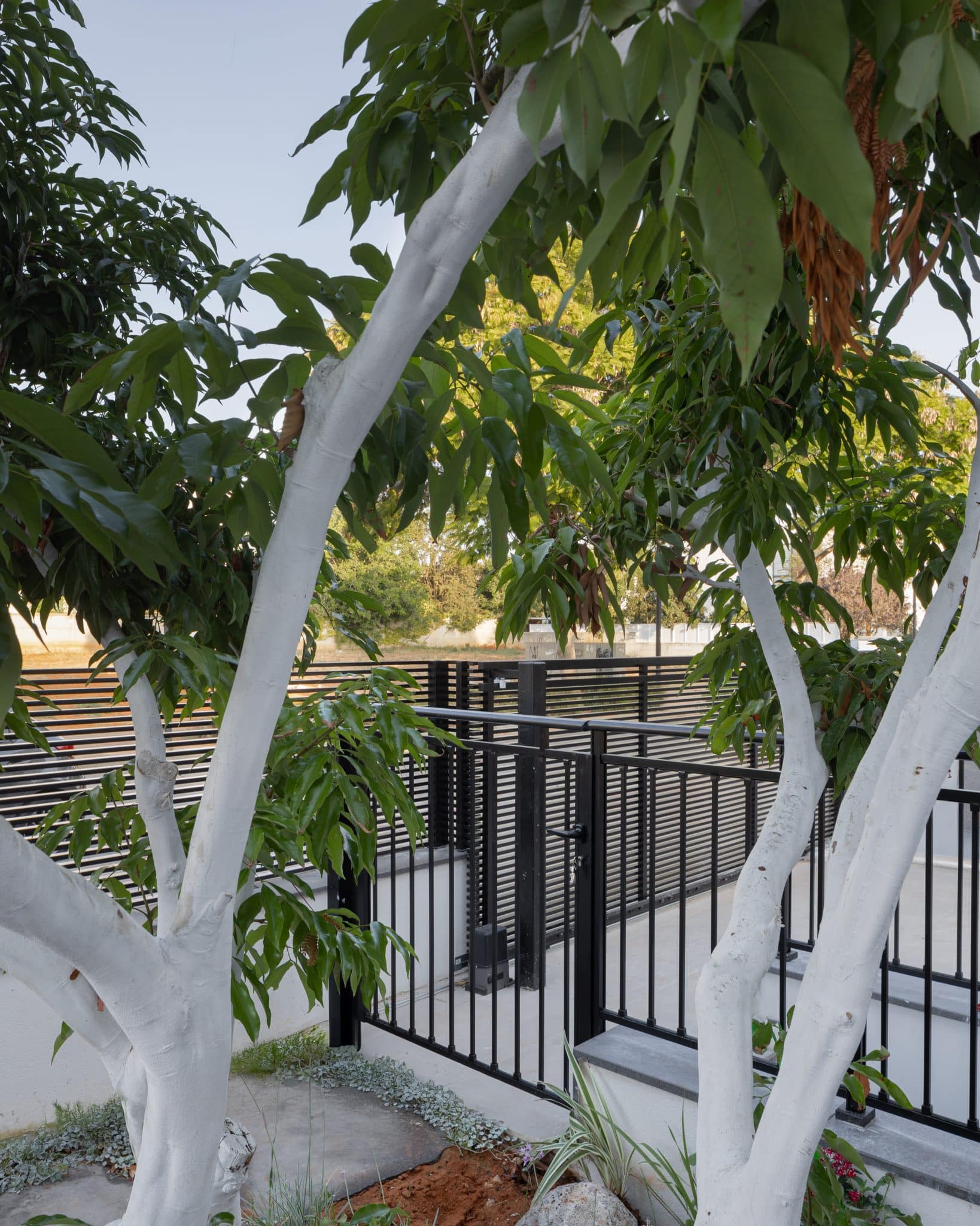 20250930 Snapir Alenafoto Sayon 15