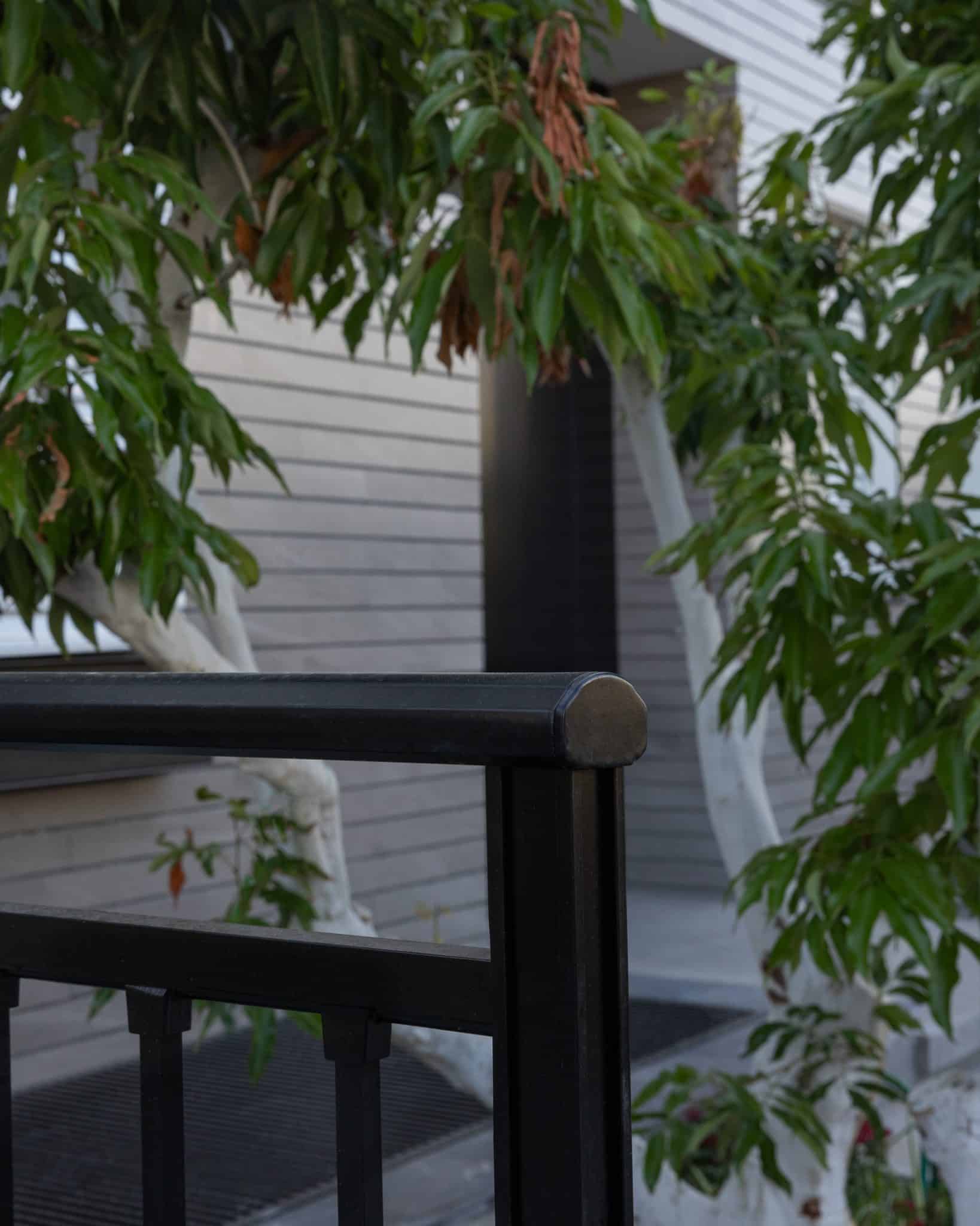 20250930 Snapir Alenafoto Sayon 22