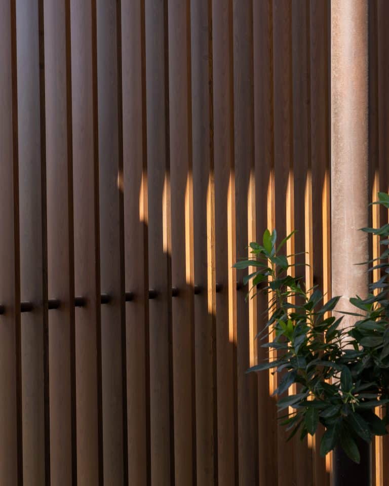 20251015 Snapir Alenafoto Shersheret 10