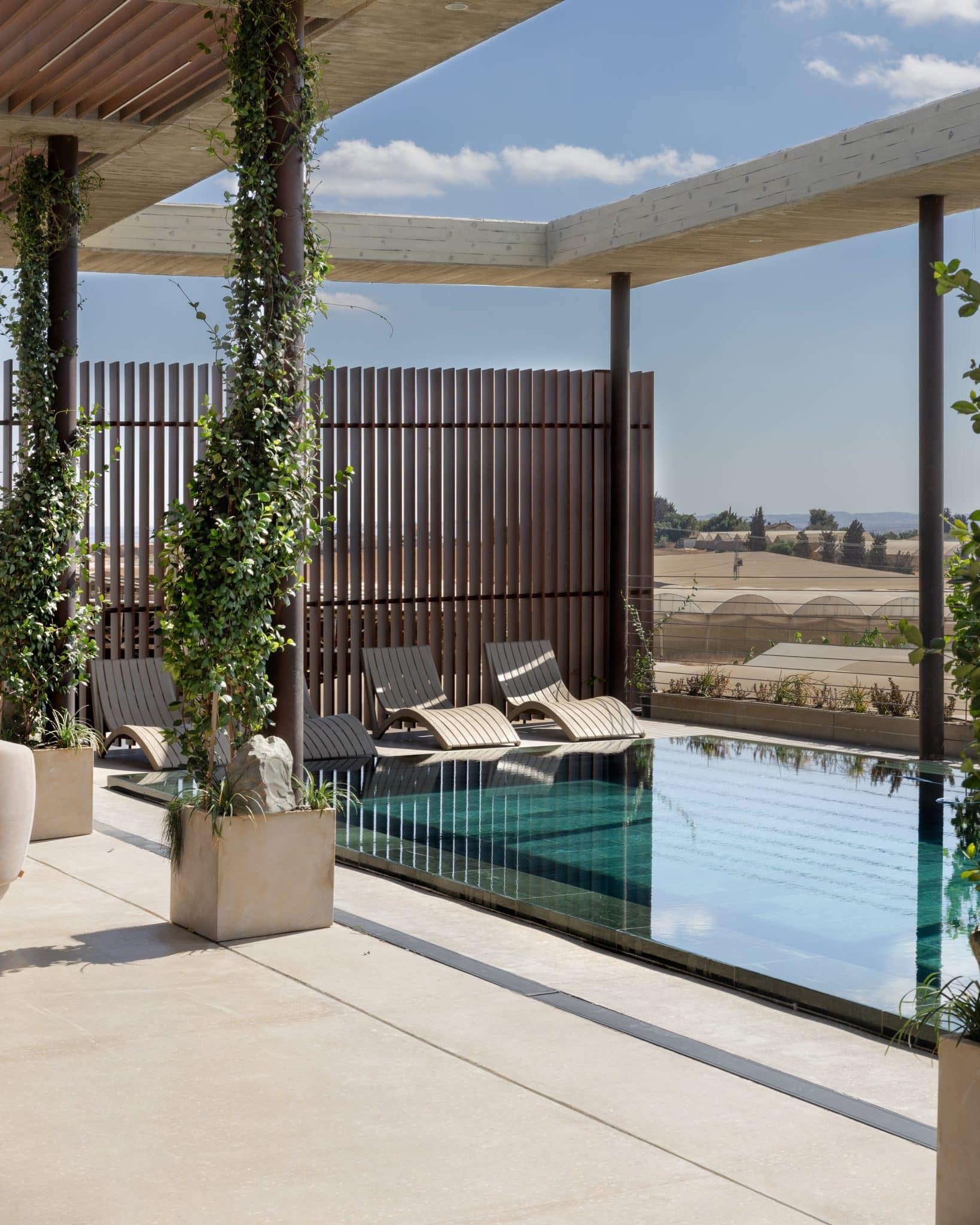 20251015 Snapir Alenafoto Shersheret 11