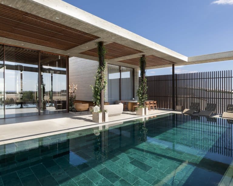 20251015 Snapir Alenafoto Shersheret 13