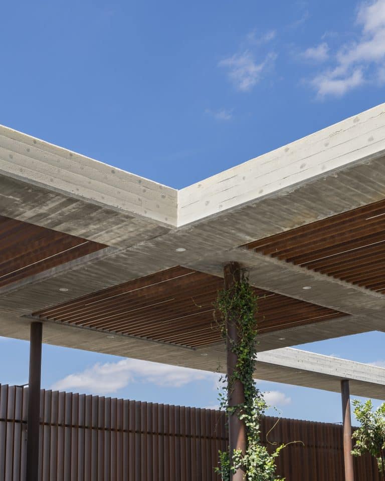 20251015 Snapir Alenafoto Shersheret 14