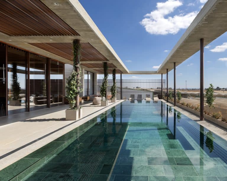 20251015 Snapir Alenafoto Shersheret 15