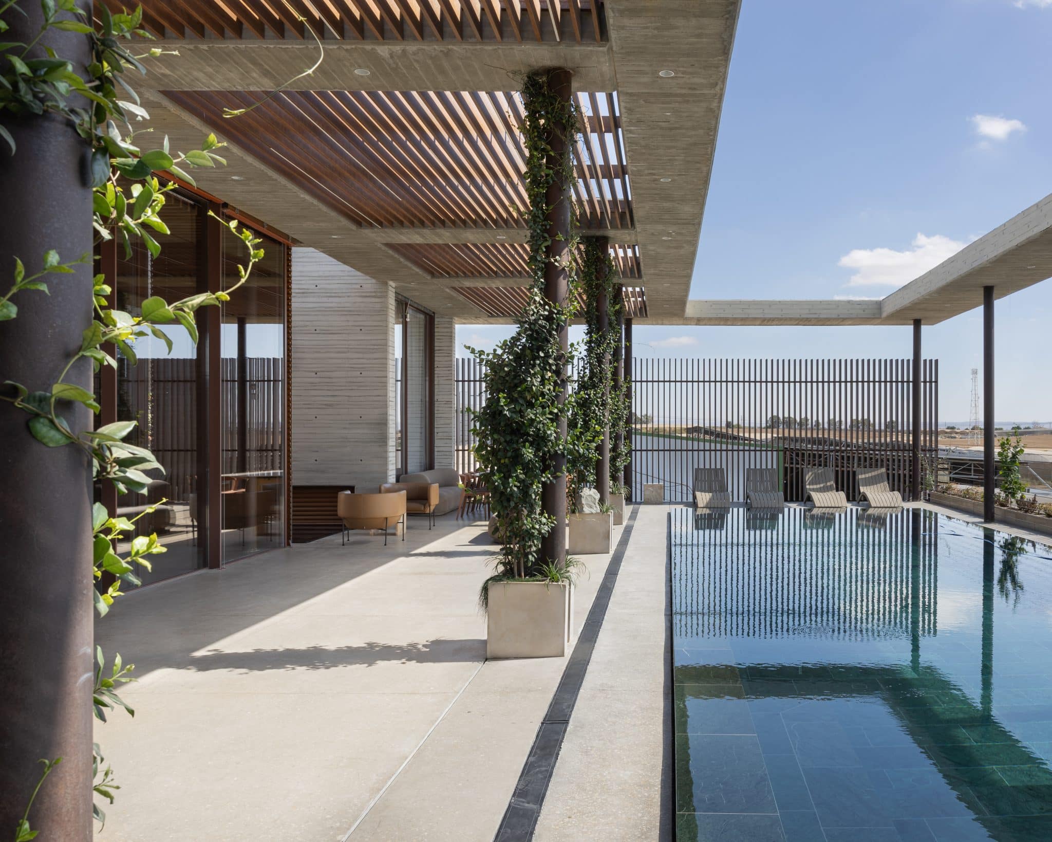 20251015 Snapir Alenafoto Shersheret 16