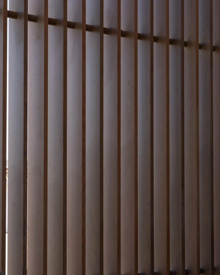 20251015 Snapir Alenafoto Shersheret 18