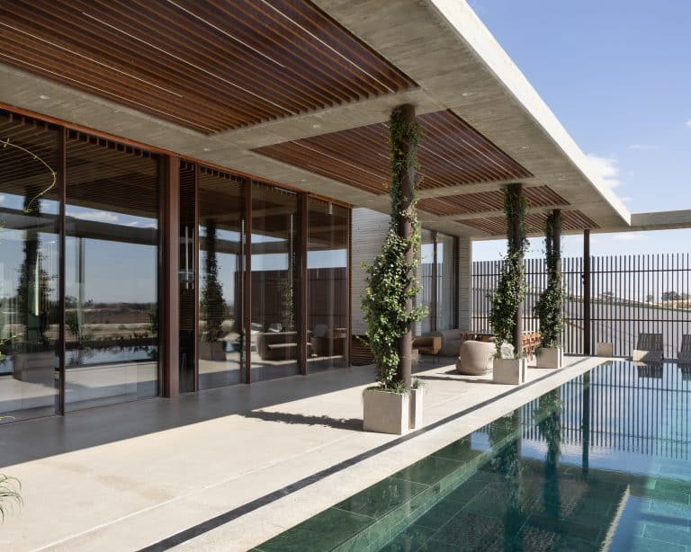 20251015 Snapir Alenafoto Shersheret 19