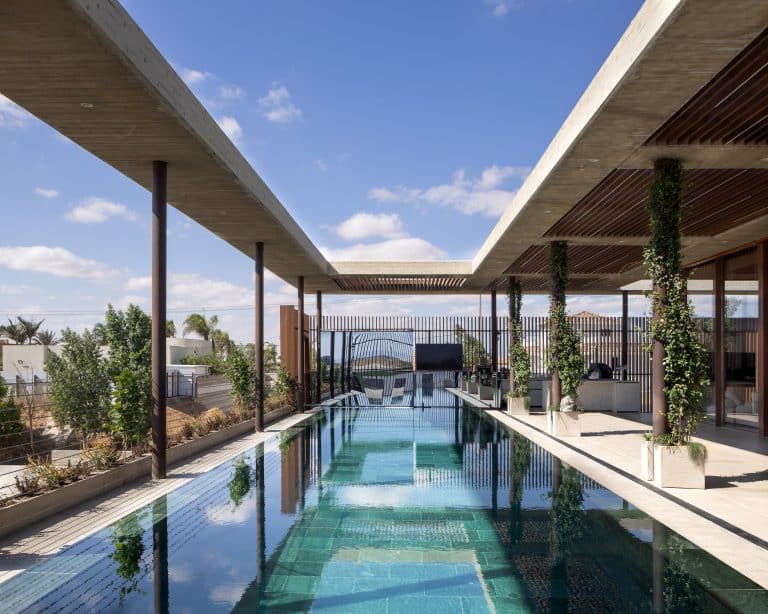 20251015 Snapir Alenafoto Shersheret 2