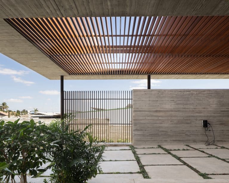 20251015 Snapir Alenafoto Shersheret 21