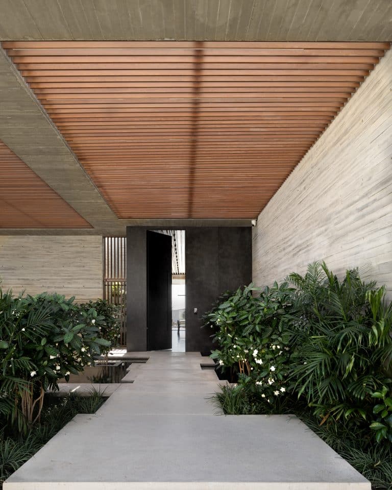 20251015 Snapir Alenafoto Shersheret 22