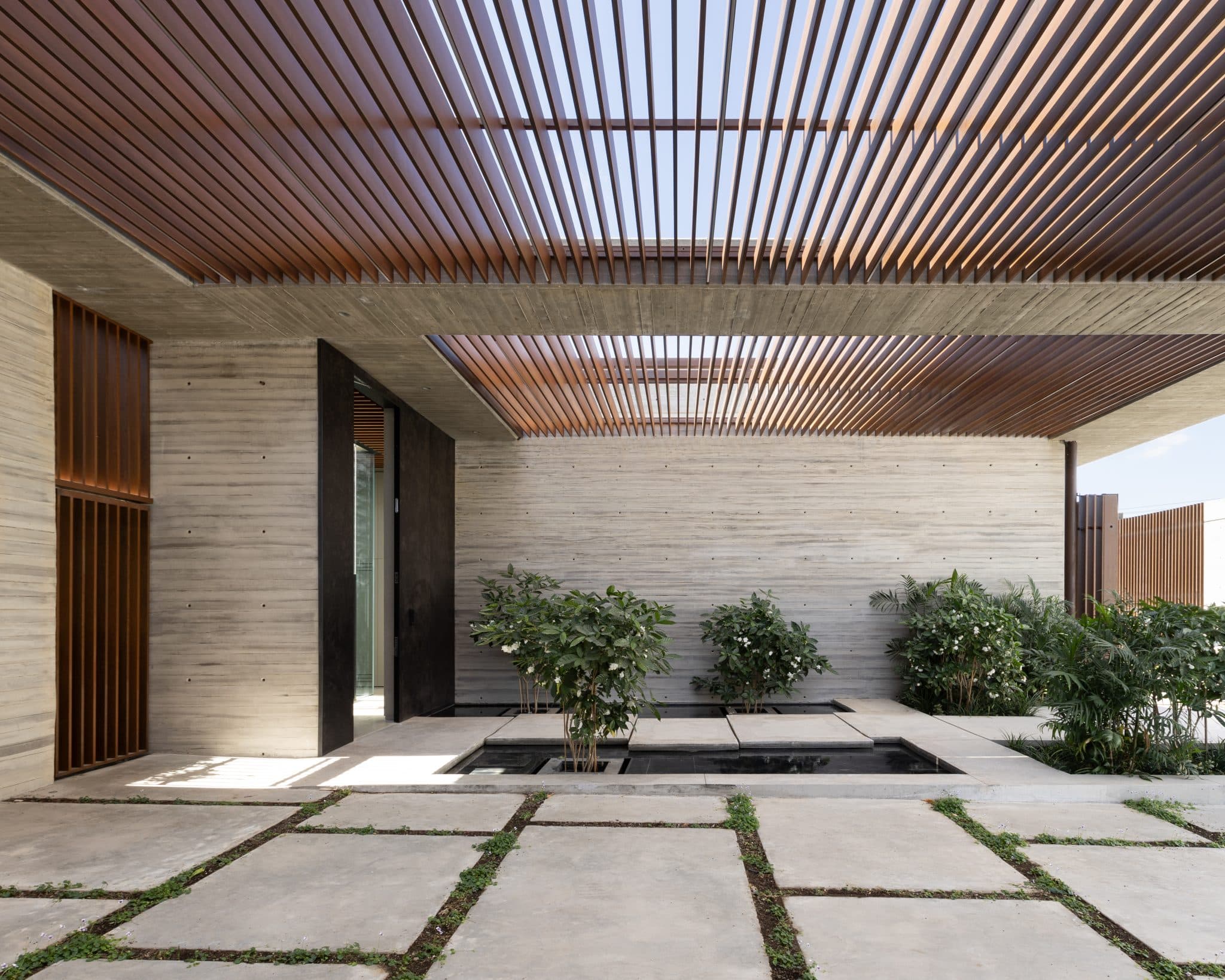 20251015 Snapir Alenafoto Shersheret 24