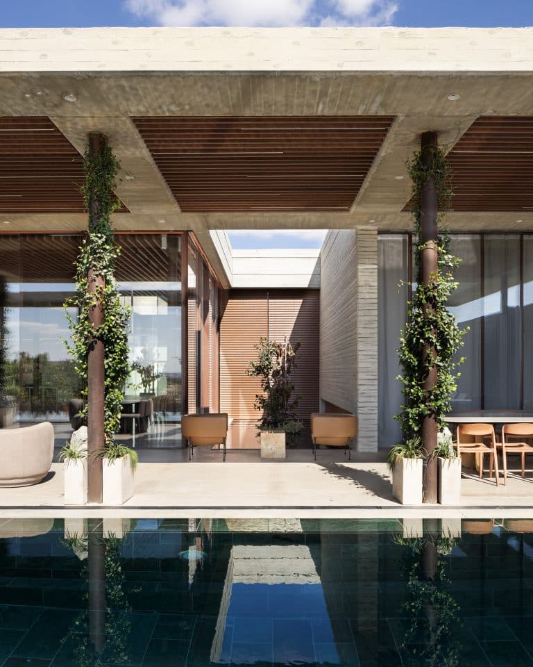 20251015 Snapir Alenafoto Shersheret 3