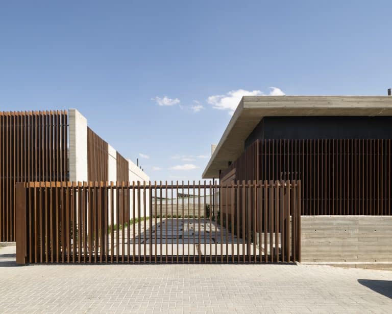 20251015 Snapir Alenafoto Shersheret 33