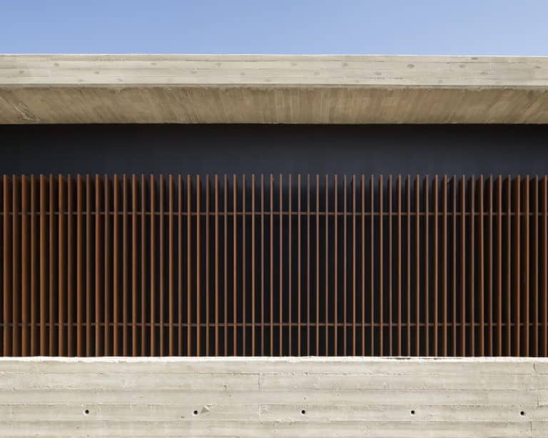 20251015 Snapir Alenafoto Shersheret 35