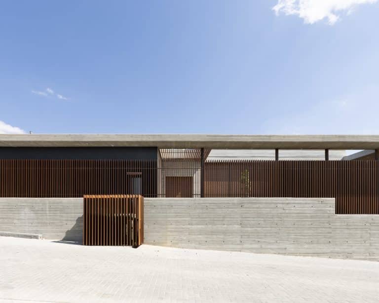 20251015 Snapir Alenafoto Shersheret 36