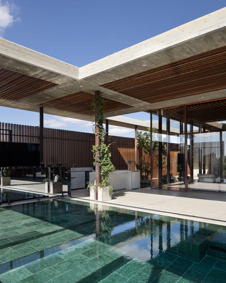 20251015 Snapir Alenafoto Shersheret 4