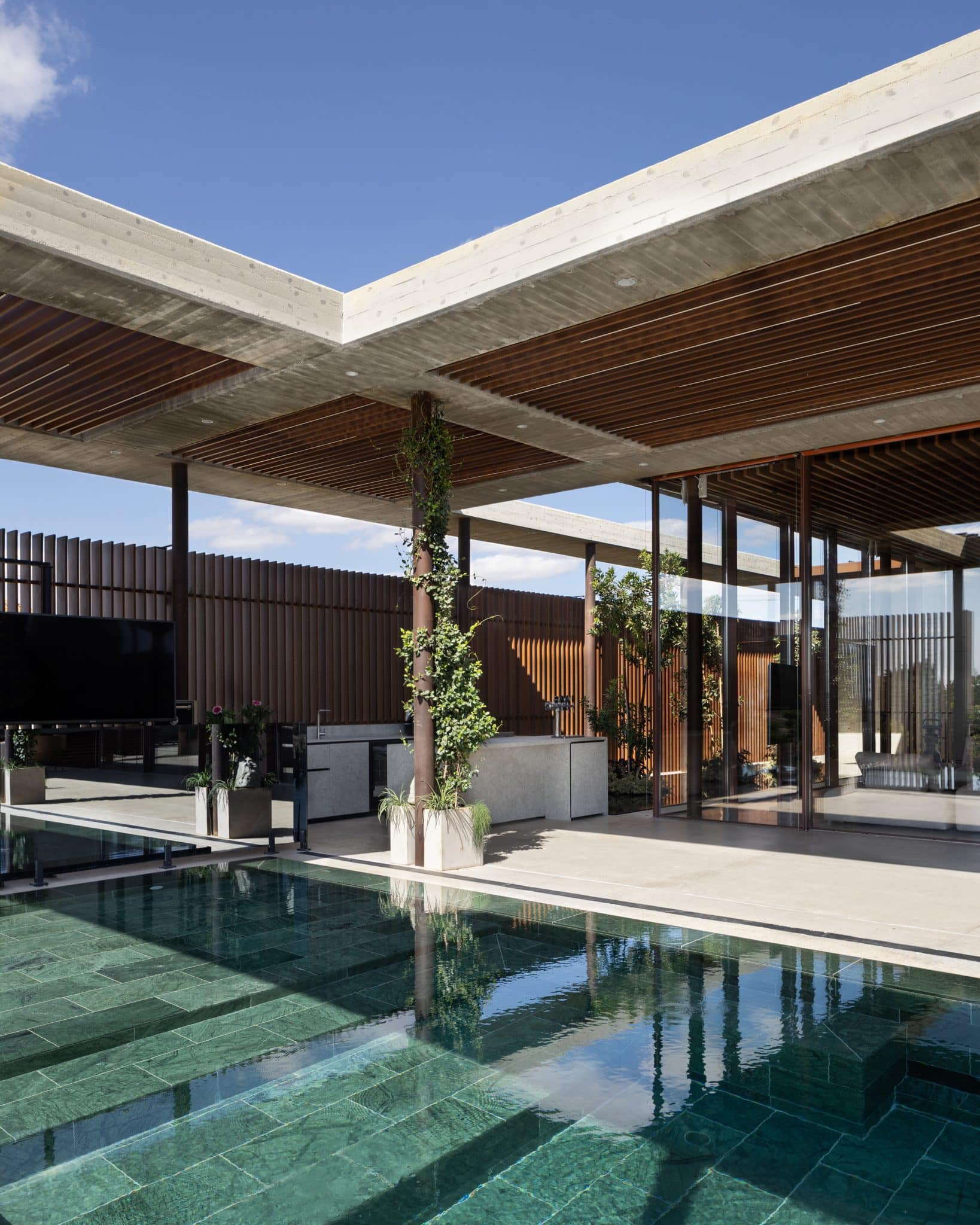 20251015 Snapir Alenafoto Shersheret 4