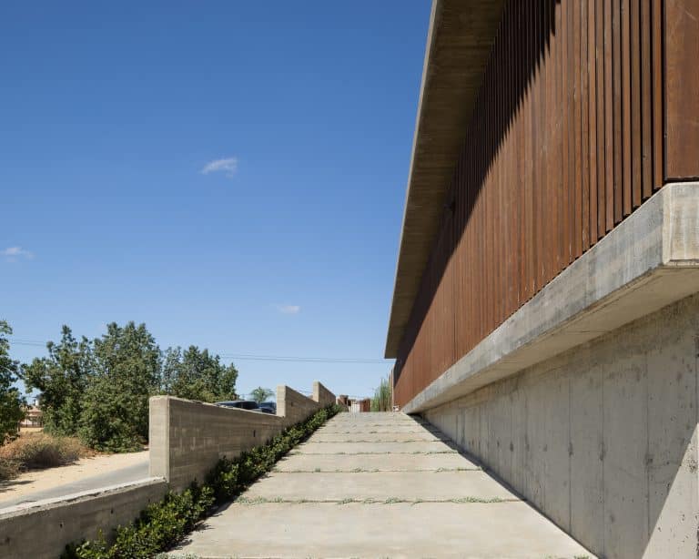 20251015 Snapir Alenafoto Shersheret 41