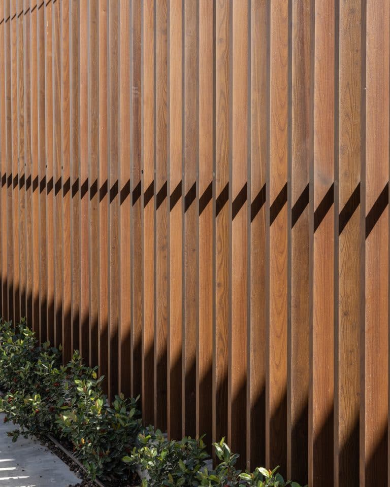 20251015 Snapir Alenafoto Shersheret 42