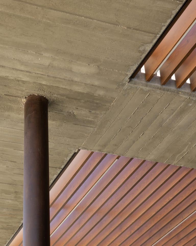 20251015 Snapir Alenafoto Shersheret 43