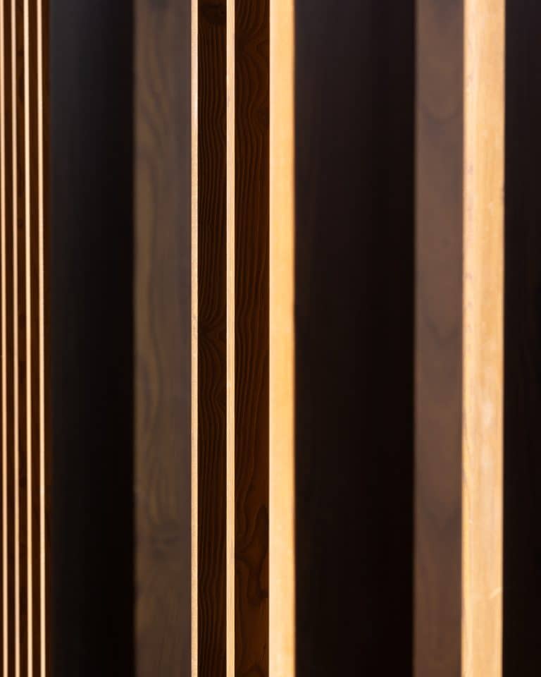 20251015 Snapir Alenafoto Shersheret 44