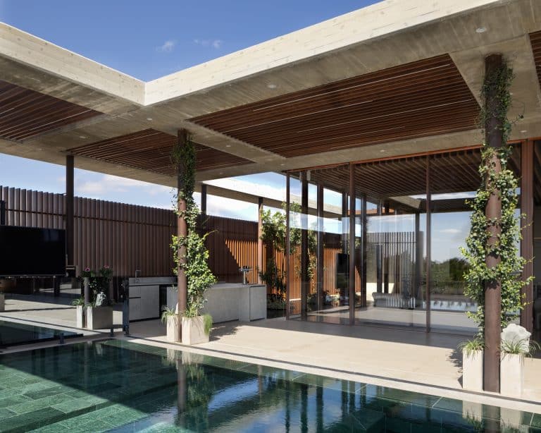 20251015 Snapir Alenafoto Shersheret 5