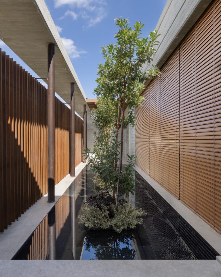 20251015 Snapir Alenafoto Shersheret 8