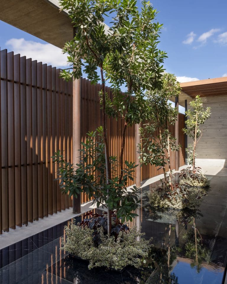 20251015 Snapir Alenafoto Shersheret 9