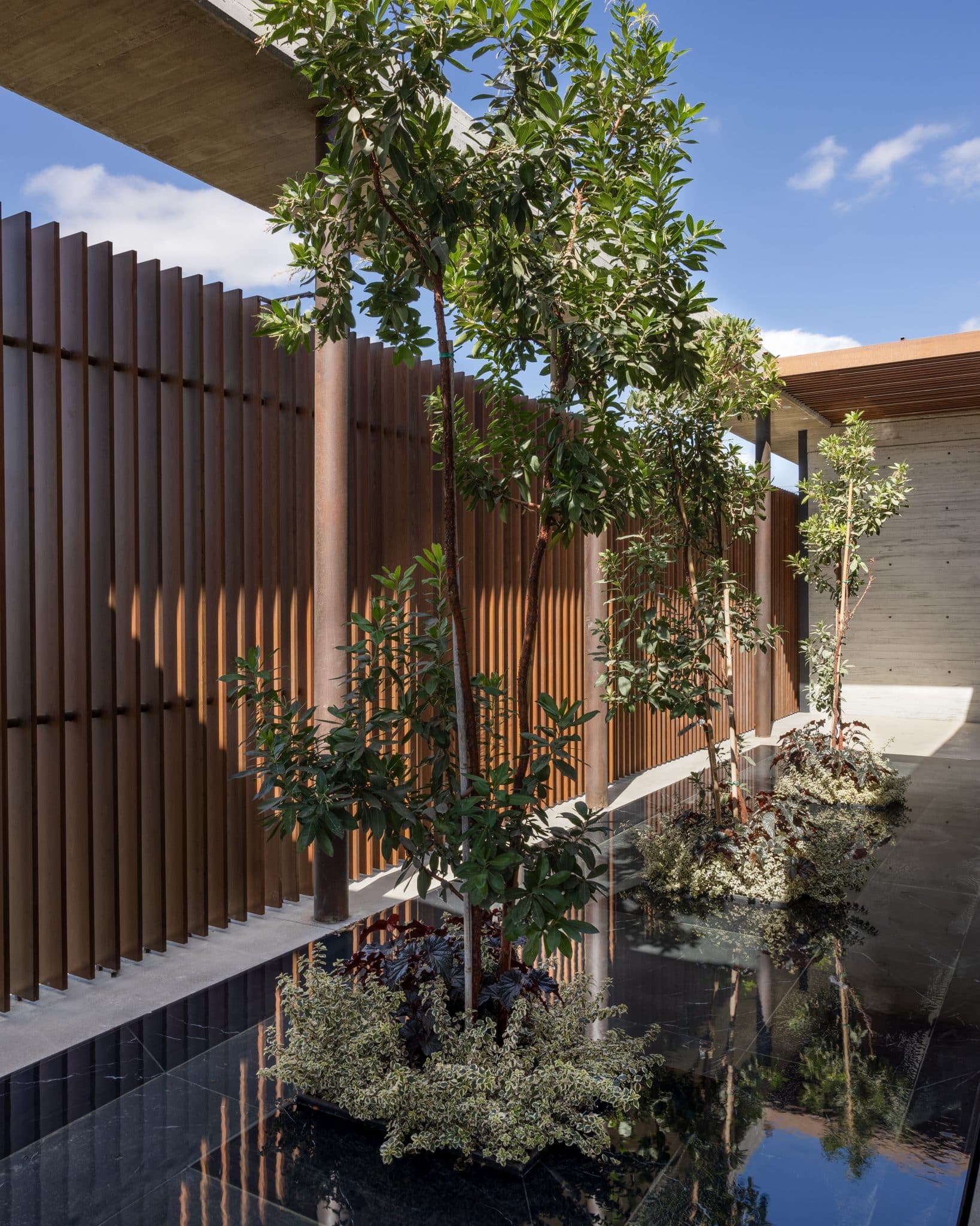 20251015 Snapir Alenafoto Shersheret 9